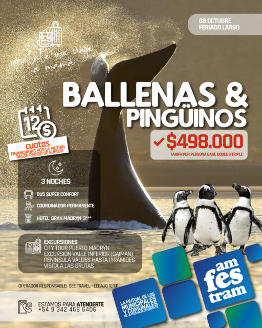 🐋 Una aventura entre ballenas, pingüinos y paisajes inolvidables

Este 8 de octubre, aprovechá el feriado largo y viajá con AMFESTRAM a Puerto Madryn.

🌙 3 noches
🚌 Bus súper confort
🏨 Hotel Gran Madryn 3 estrellas
🙋 Coordinador permanente
🗺️ Excursiones a Puerto Madryn, Gaiman, Península Valdés y Las Grutas

Valor por persona: $498.000, en base doble o triple, financiado en hasta 12 cuotas por la Mutual mediante recibo de sueldo.

📲 Consultas y reservas: +54 9 342 468 6406

El mar te espera con uno de sus espectáculos más conmovedores. 🌊